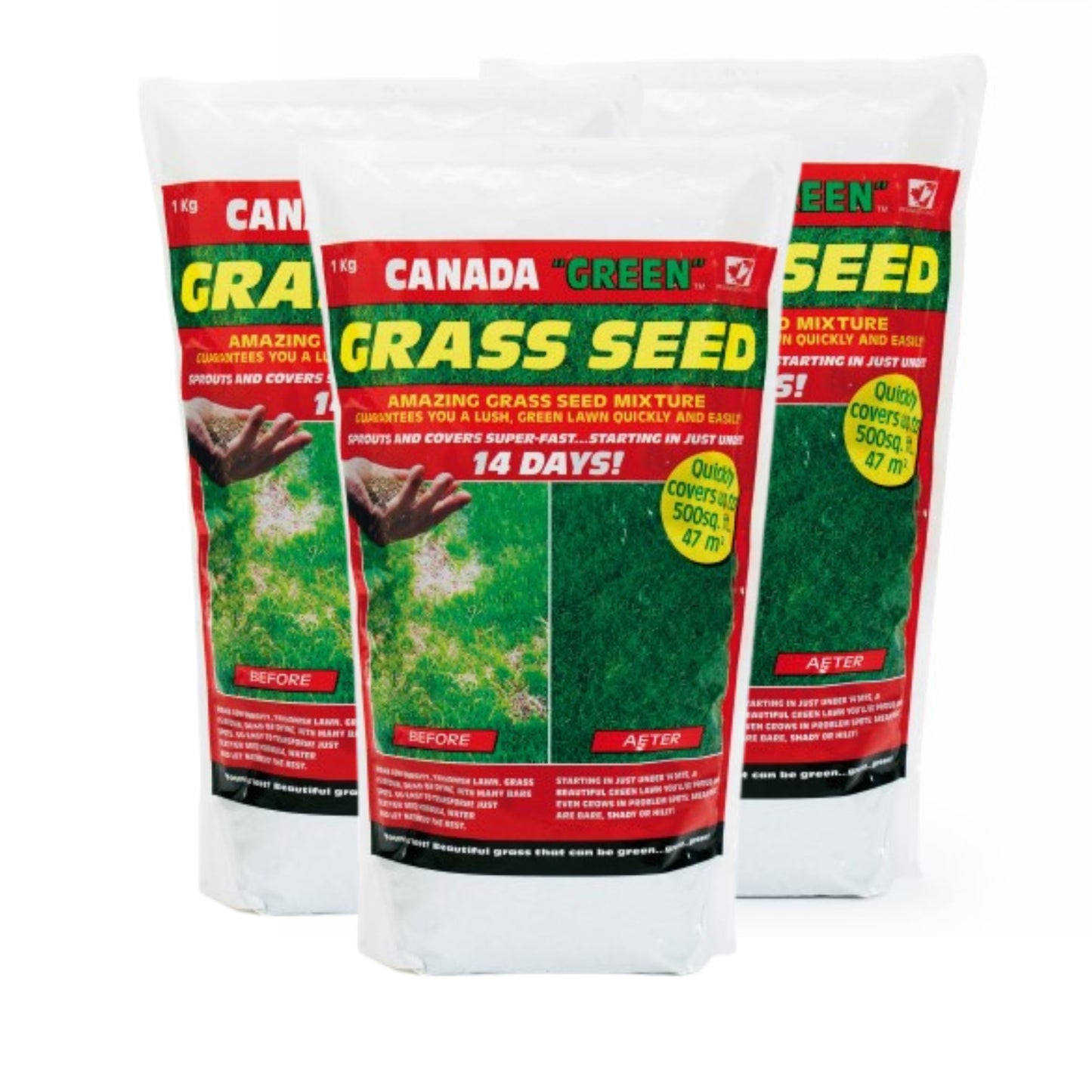 Canada Green Grass Seed – Fast-Growing, Hard-Wearing Lawn Seed for All Seasons