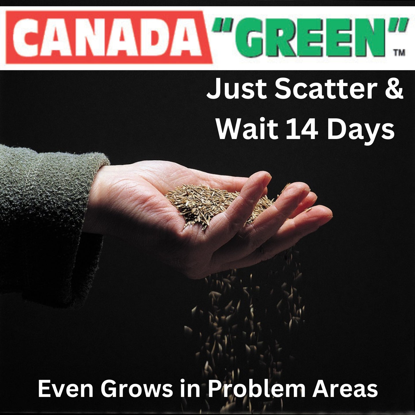 Canada Green Grass Seed – Fast-Growing, Hard-Wearing Lawn Seed for All Seasons