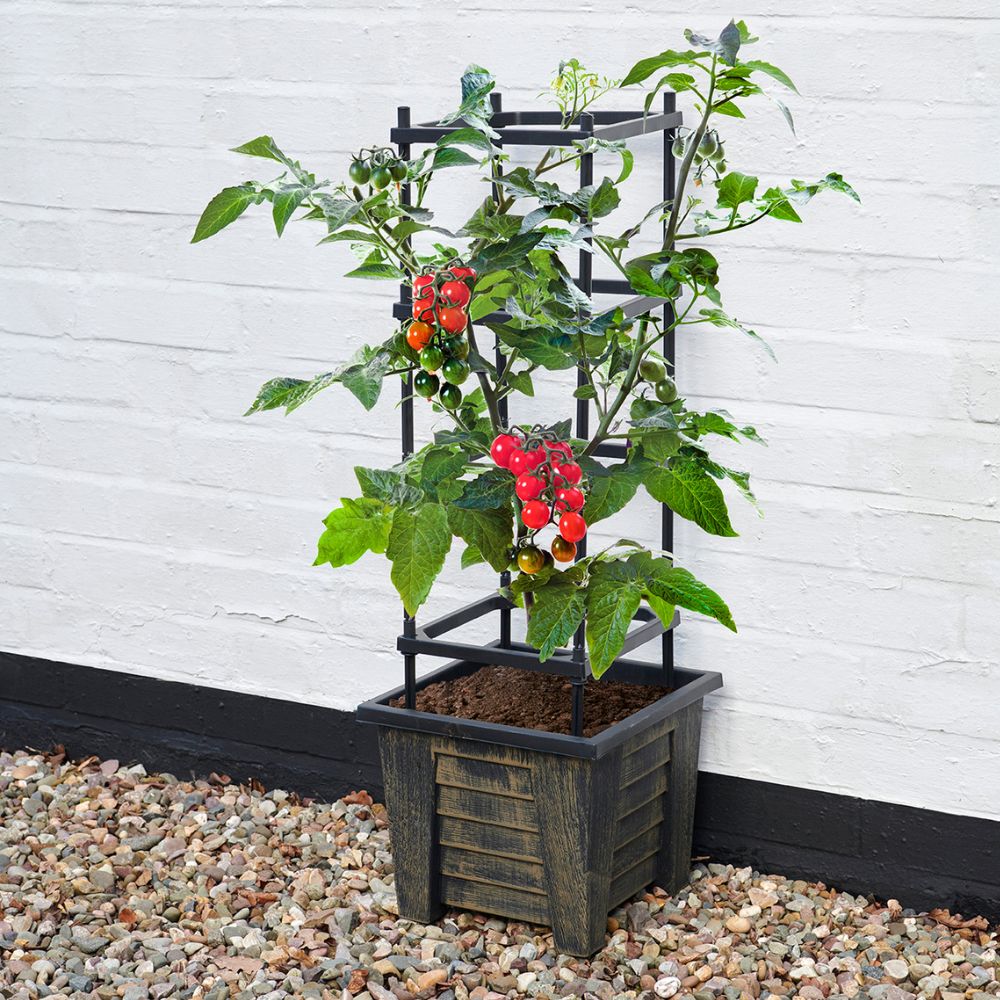 4 Tier Trellis Planter for Climbing Plants – Outdoor Vegetable & Flower Planter