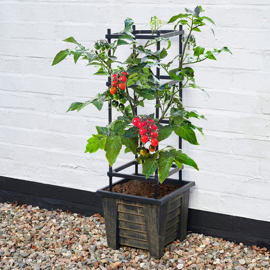 4 Tier Trellis Planter for Climbing Plants – Outdoor Vegetable & Flower Planter