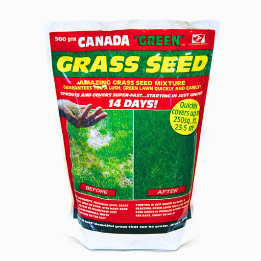 Canada Green Grass Seed – Fast-Growing, Hard-Wearing Lawn Seed for All Seasons