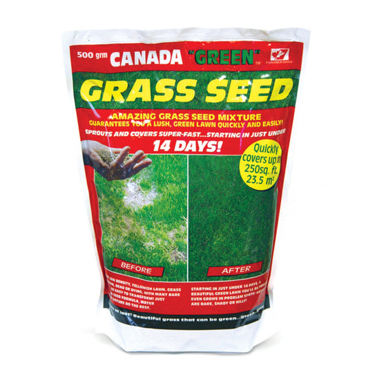 Canada Green Grass Seed – Fast-Growing, Hard-Wearing Lawn Seed for All Seasons