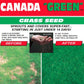 Canada Green Grass Seed – Fast-Growing, Hard-Wearing Lawn Seed for All Seasons