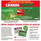 Canada Green Grass Seed – Fast-Growing, Hard-Wearing Lawn Seed for All Seasons