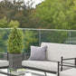 Doverdale Outdoor Steel Sofa Set with Cushions & Glass Coffee Table – Elegant Garden or Conservatory Seating